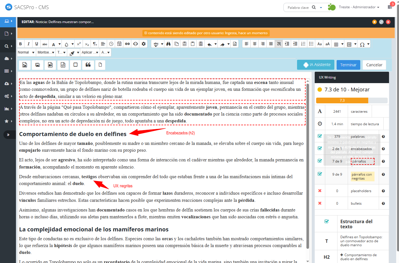 Formato UX en CMS: negritas y H2